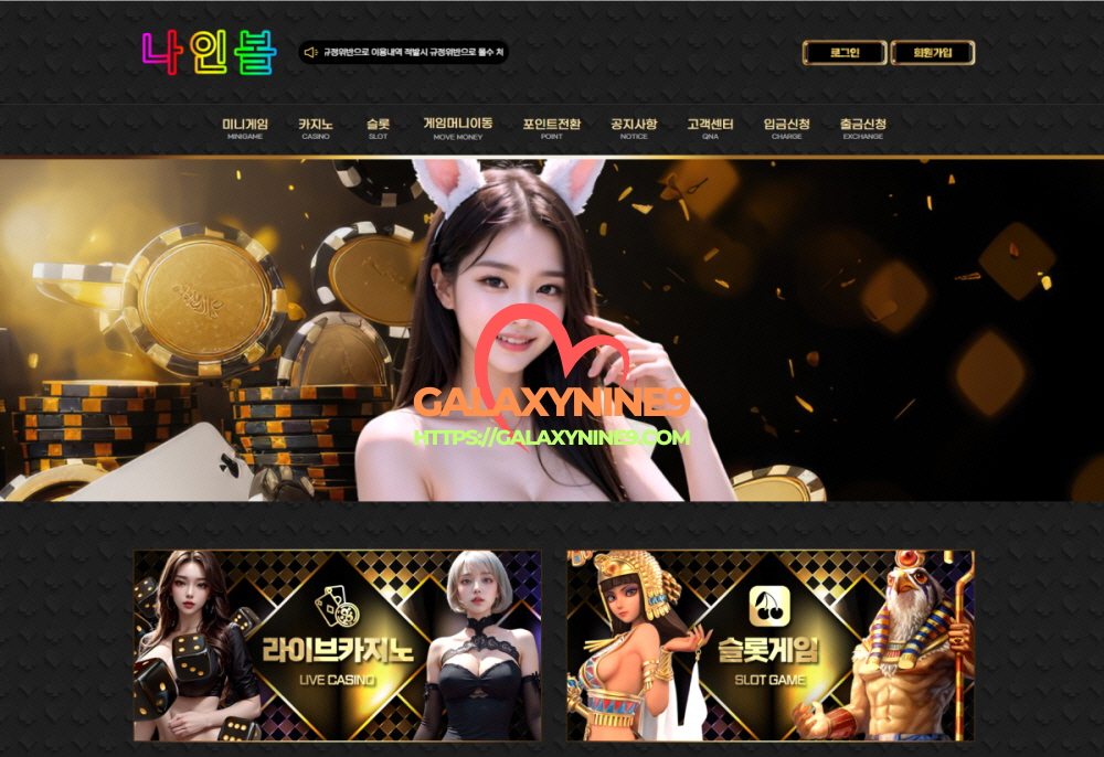 나인볼 먹튀 사이트