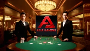 아시아 게이밍(Asia Gaming) 완벽 가이드 – 최고의 라이브 카지노 경험
